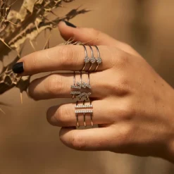 GOLD & ROSES ANILLO EXTRA LINE