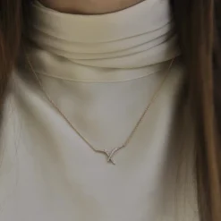 GOLD & ROSES COLLAR JARDIN DE AIRE DIAMANTES
