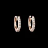 GOLD & ROSES CRIOLLAS SHEWEL L