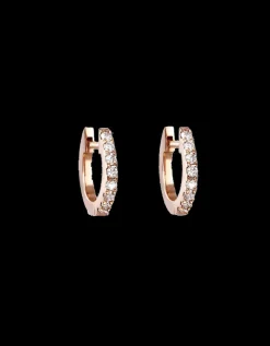 GOLD & ROSES CRIOLLAS SHEWEL L