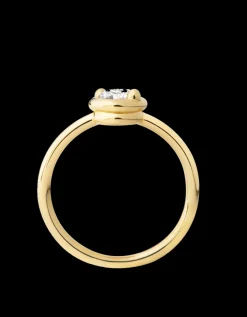 MISUI ANILLO DUO