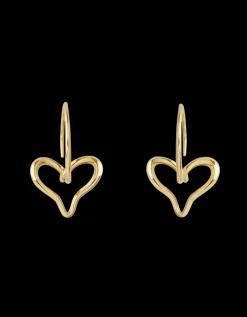 MISUI PENDIENTES EVOLVE